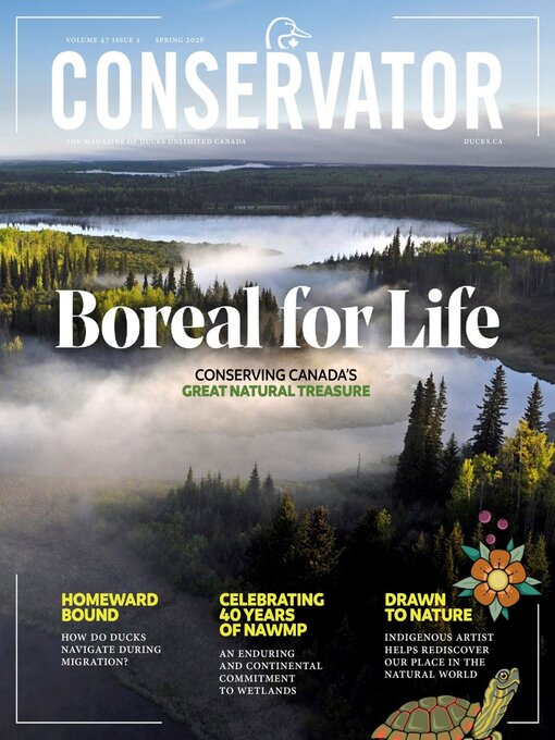 Cover image for Conservator